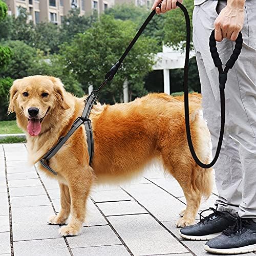 Yucforen 6ft/10ft de corda pesada corda para cães com alça acolchoada confortável Coloque de cachorro