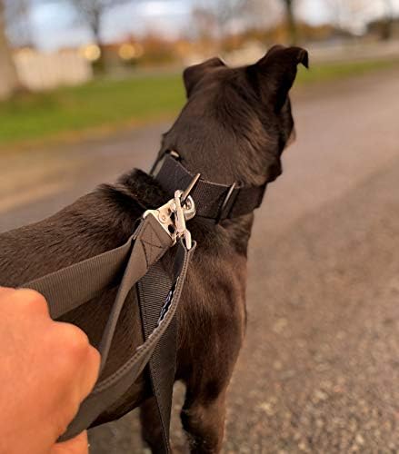 Miles Tactical Short Dog Leash Training Forness Leash 4 'Long 1,25 correias com forte fecho de aço