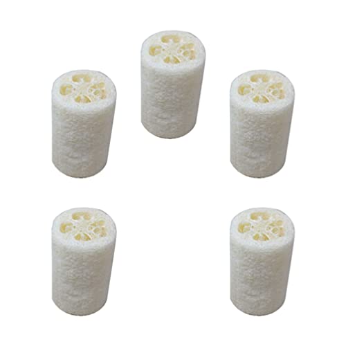 Esponja de pó de pó de doitool 5pcs 10cm de cozinha esponjas esponjas de esponjas de escova de maconha