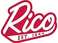 RICO INDUSTRIES NFL Detroit Lions 8,5 x 11 ímãs de equipes para carro, geladeira, geladeira, armário,