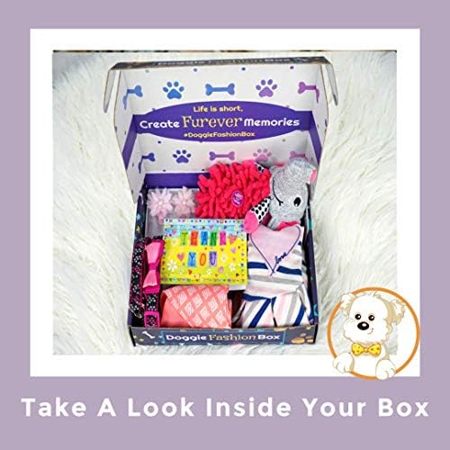 The Doggie Fashion Box - brinquedos de cachorro com curadoria com curadoria, camisa da moda, bandana