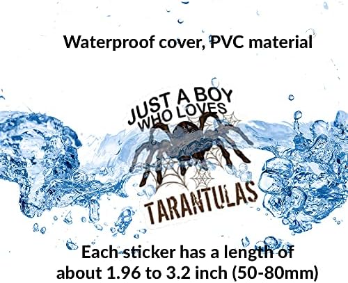 Adesivos de aranha | 60pcs Vinil impermeável Detono fofo animal aracnídeo Spider Spider adesivos para crianças,