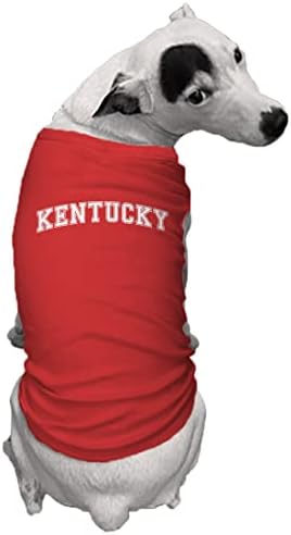 Kentucky - camisa de cães esportivos da Universidade Estadual
