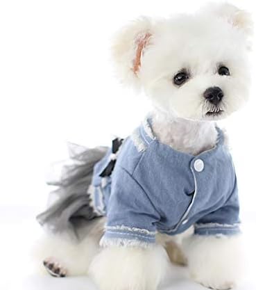 Walnuta quente de inverno vestido de cachorro casaco de lã de jeans top